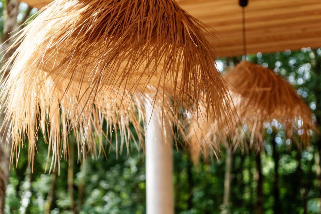 Bed and Breakfast Dans Les Arbres Lanta Exterior foto